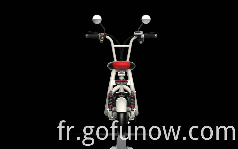 family delivery electric bikes